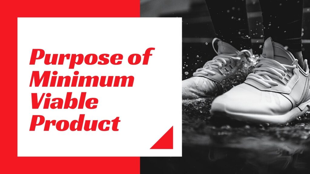 What is Minimum viable product