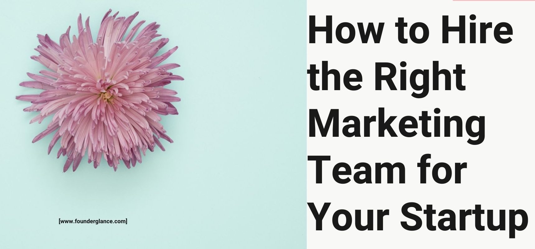 How to Hire the Right Marketing Team for Your Startup